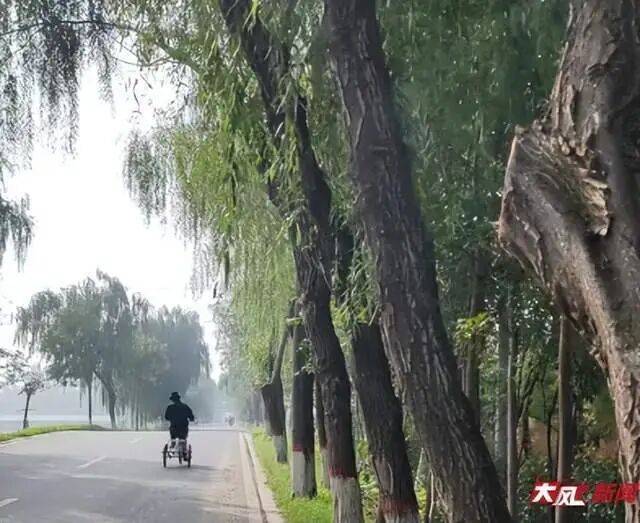 陕西兴平56岁女教师骑电动车“撞树枝”身亡<strong></p>
<p>鄂尔多斯股票</strong>,交警判定担主责,家属提出诸多质疑,多方回应