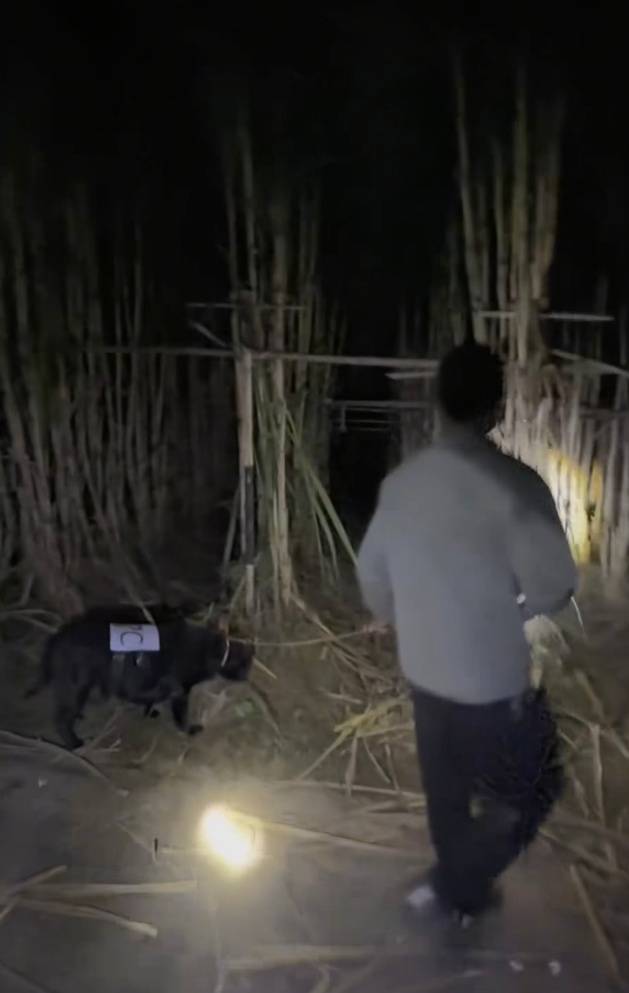 四川一甘蔗地推出“9.9元偷甘蔗”活动<strong></p>
<p>中海达股票</strong>,老板:人很多,打算增加npc