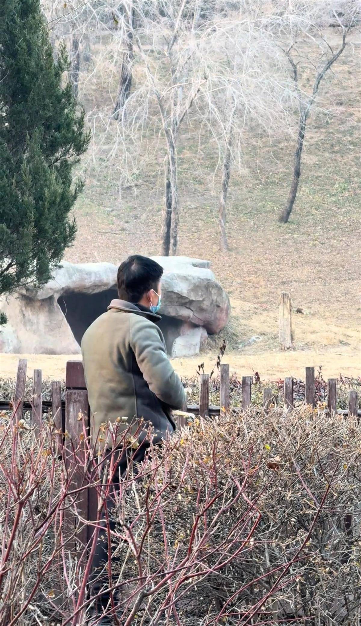 沈阳一男子动物园内用弹弓射老虎<strong></p>
<p>山推股份股票</strong>,目击者称其“填装了弹丸”,打完后老虎爬起来了,园方:正在核实情况