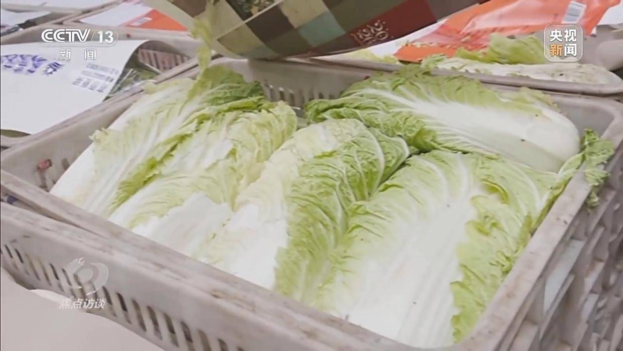 单棵售价超百元<strong></p>
<p>汇金科技股票</strong>,起底“套牌白菜”背后的销售套路