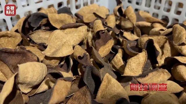 30天速成陈皮<strong></p>
<p>天音控股股票</strong>，成本仅70元，利润超成本10倍以上！央视起底陈皮跨省造假产业链