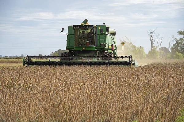 自上世纪90年代以来<strong></p>
<p>天音控股股票</strong>,中国首次购买阿根廷小麦