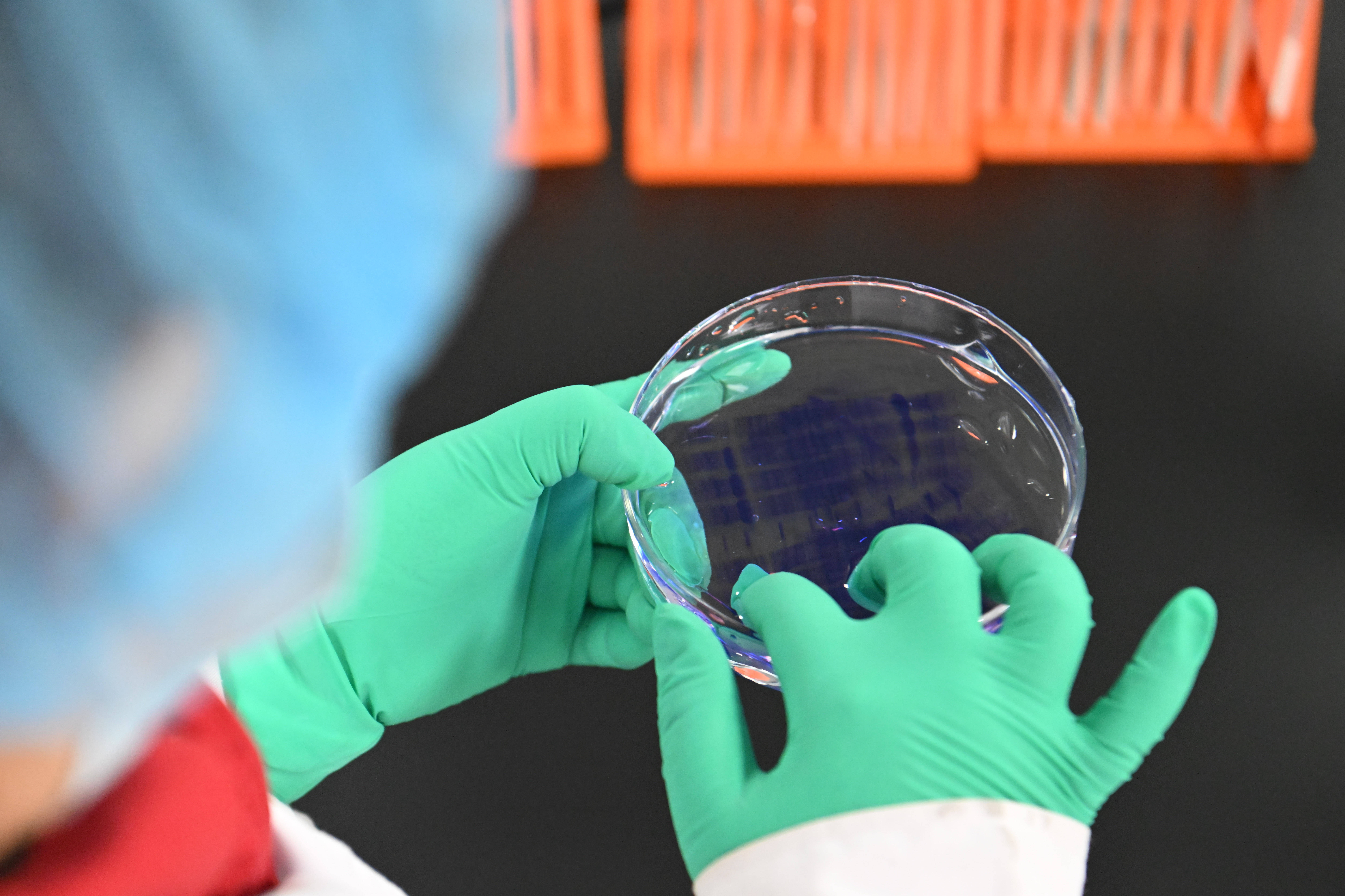 新华全媒头条丨锚定新目标 奋力开新局——2025年中央经济工作会议侧记