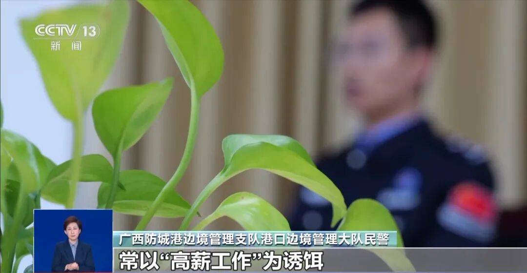 央视披露：男子在网吧厕所墙上看到“高薪日结5000-20000”广告<strong></p>
<p>紫江企业股票</strong>，即将出境时被警方拦下