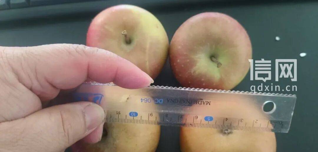 直播间卖阿克苏大苹果到手成迷<strong></p>
<p>和而泰股票</strong>你袖珍果 亿粉主播“蛋蛋”被指玩AB货套路