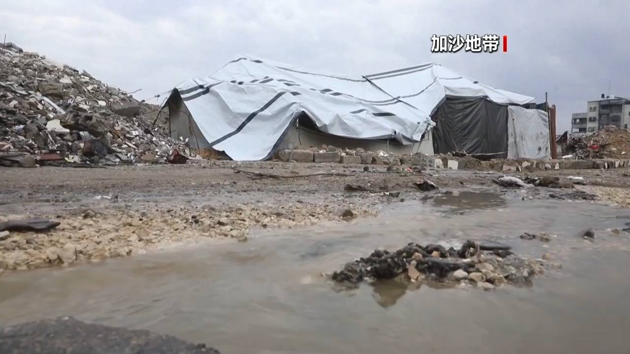 最新<strong></p>
<p>亚盛集团股票</strong>！法国、英国、加拿大、丹麦、芬兰等十国外长发布联合声明