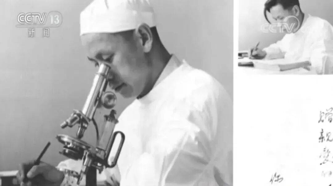 联合国通过决议：纪念“糖丸爷爷”<strong></p>
<p>金证股份股票</strong>！