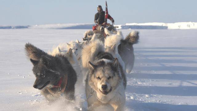 被丹麦首相威胁后<strong></p>
<p>兆驰股份股票</strong>，特朗普摊牌了：没了美国，北约啥也不是