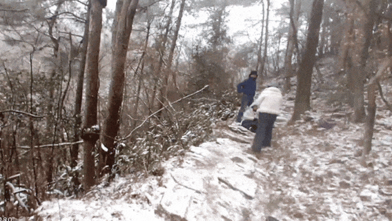 “脚断了，这辈子完了！”游客在1200米山上赏雪受伤，浙江民警带4人将其抬下：我是民警，我得在第一个