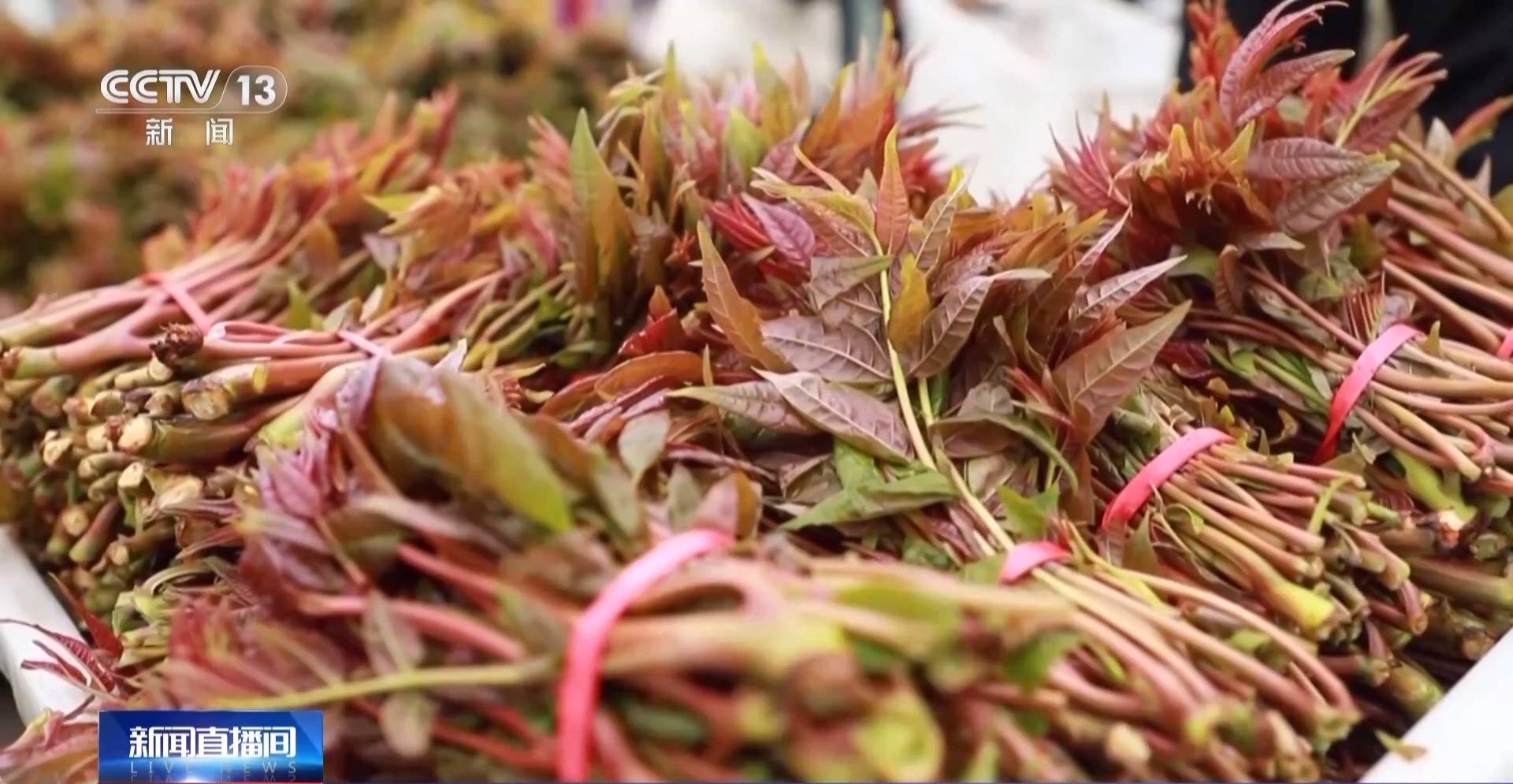 蒸、煎、拌、酿……一口鲜菜如何“锁”住春天<strong></p>
<p>峨眉山股票</strong>？